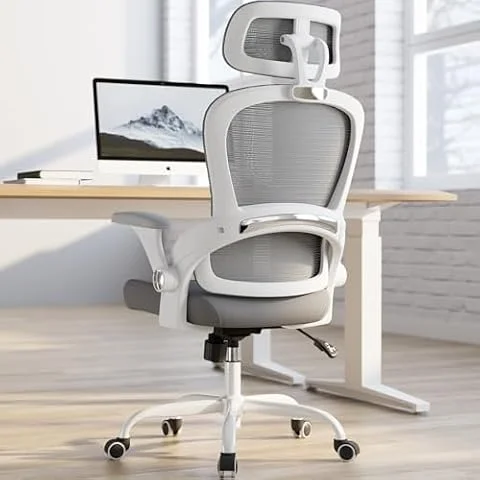 TRALT Ergonomischer Bürostuhl - Schreibtischstuhl mit Verstellbare Kopfstütze Höhenverstellbarer Bürostuhl Büro Stuhl - Gaming Stuhl - Office Chair Ergonomic Desk Chair 150kg für Lange Zeit Grau