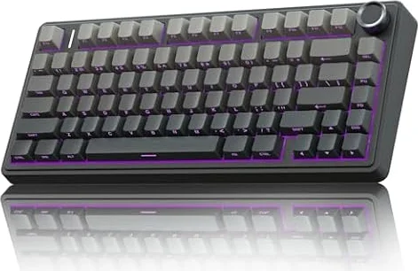AULA F75 PRO Mechanische Tastatur Gaming,2.4GHz/Type-C/BT5.0 Mechanical Keyboard,Seitlich Graviert,Fünfschichtige Polsterung Struktur,QWERTY,Hot-Swap Kabellos Gaming Tastatur 75 Prozent (Grau)